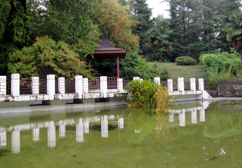 Мария Дмитриева | Белгород