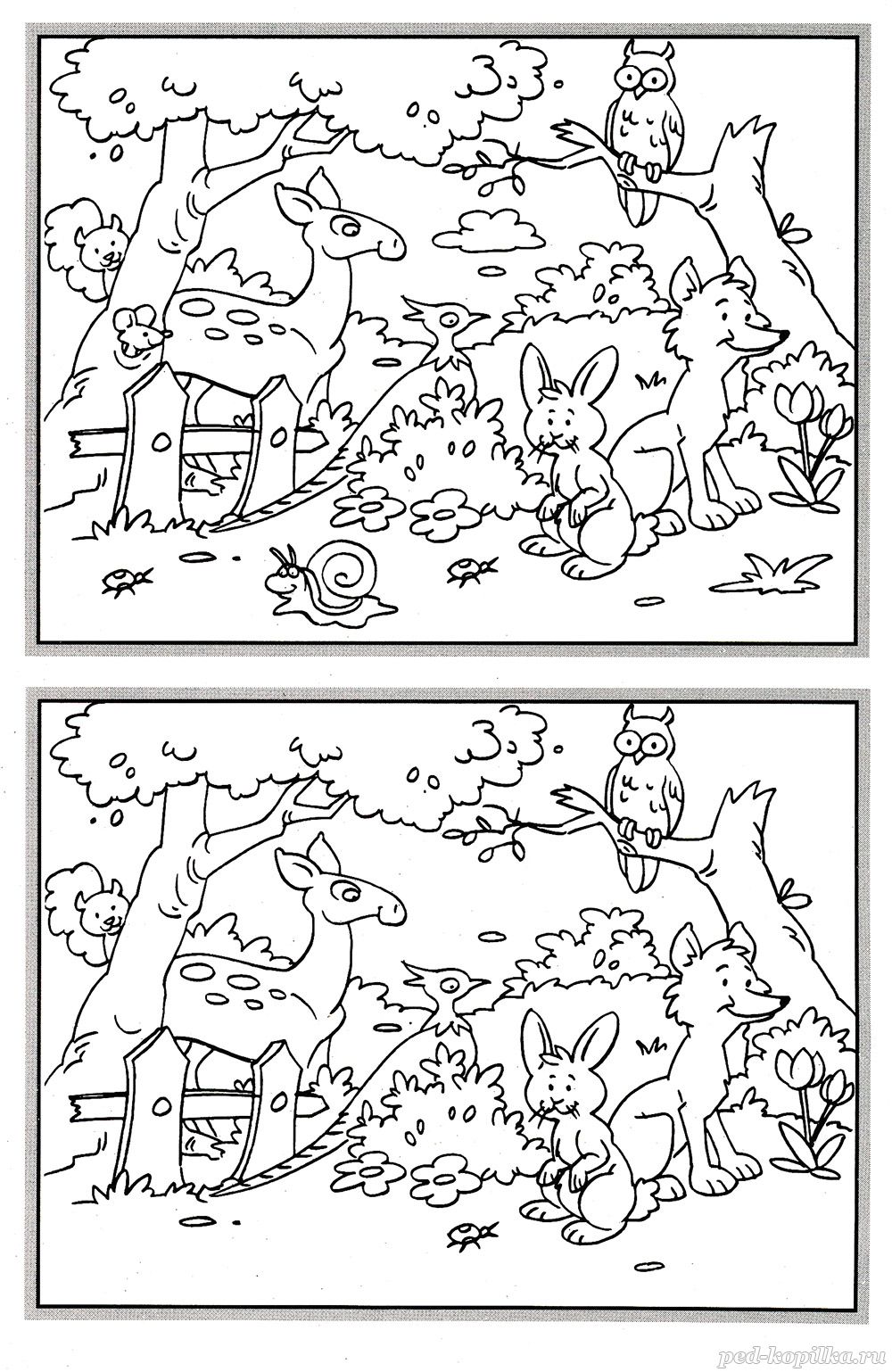 Найди отличия