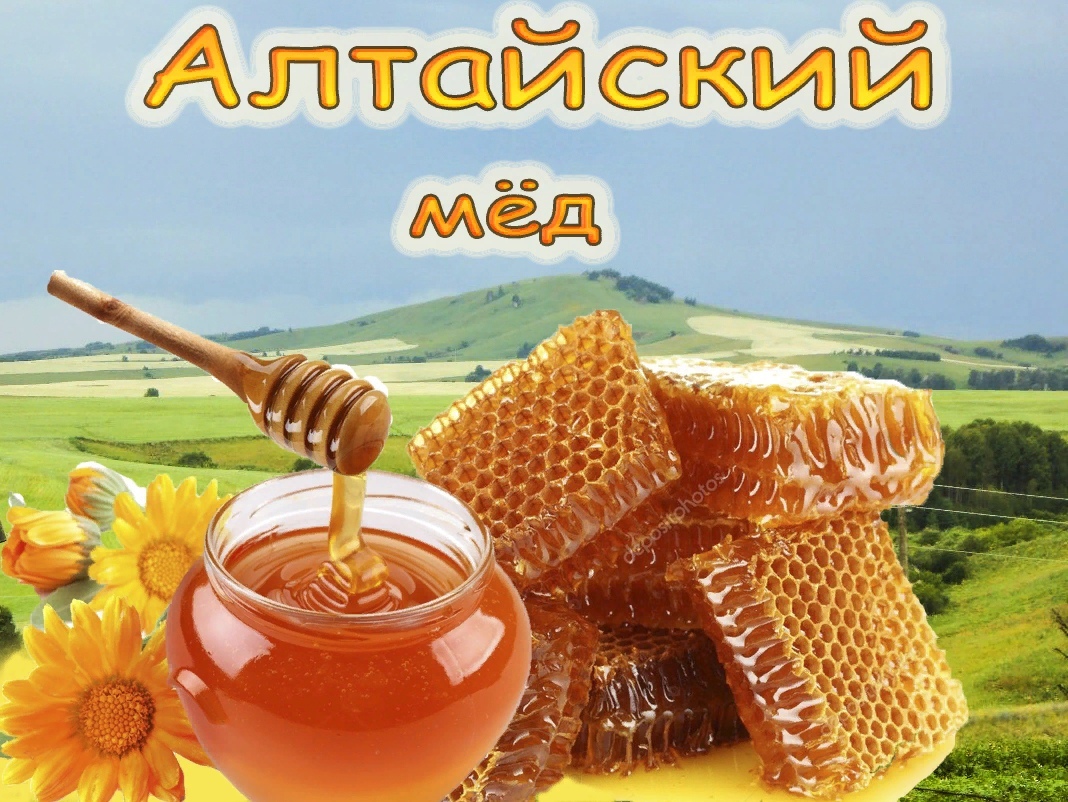 Алтайский мед фото Алтайский мед фото