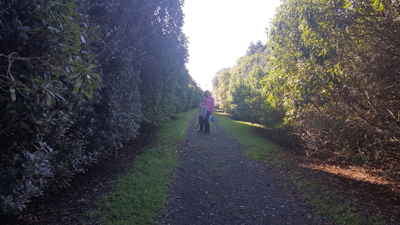 Макс Михайлов | Санкт-Петербург