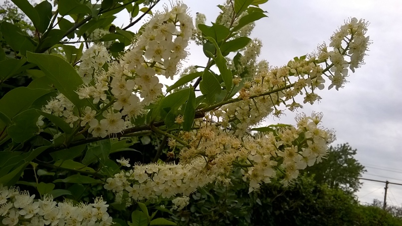 Ирина Столярова | Санкт-Петербург