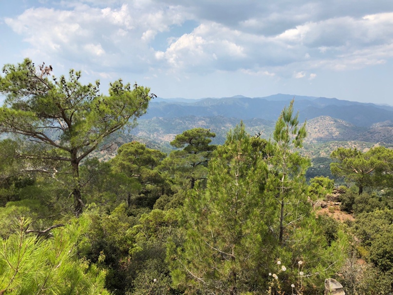 Анна Морозова | Москва