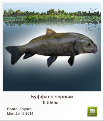 Андрей Татаринов | Джубга