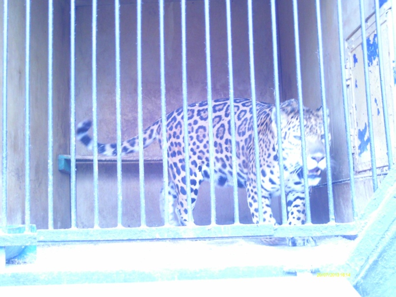 Руслан Исхаков |