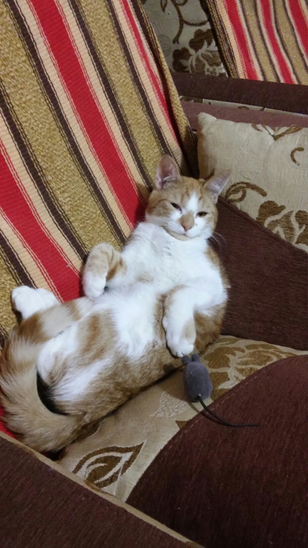 Анна Галкина | Пермь