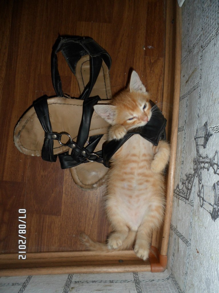 Юлия Кулешова | Покровск / Красноармейск