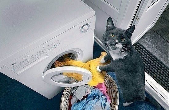 Андрей Морев | Тюмень