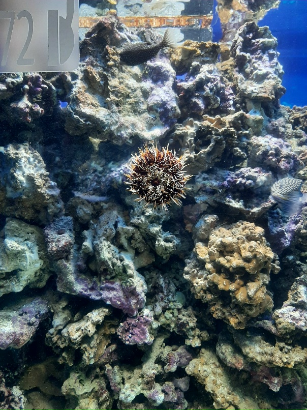 Паша Гурков | Архангельск