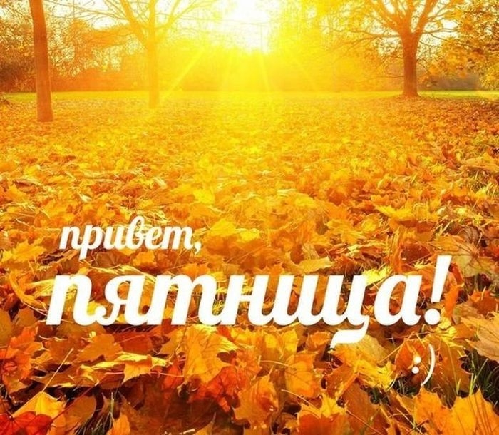 Картинки с добрым осенним утром пятницы. Красивые анимационные Утро пятницы, Осе