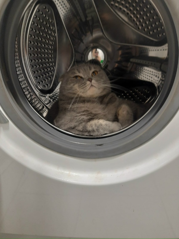 Елена Алена | Сарапул