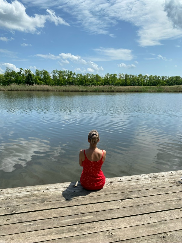 Елена Забродина | Выселки