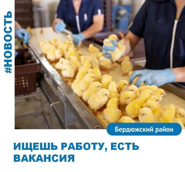 Нилепов денис тюменский бройлер место работы фото