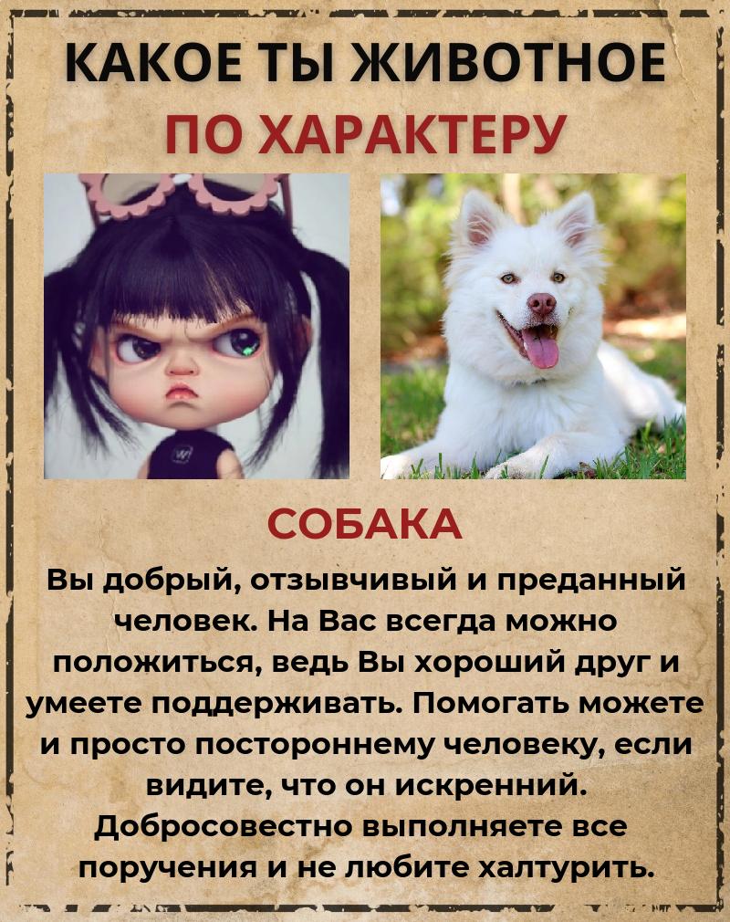 Анна Долинина | Ялта