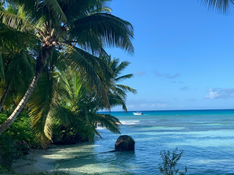 Сергей Капустин | Москва