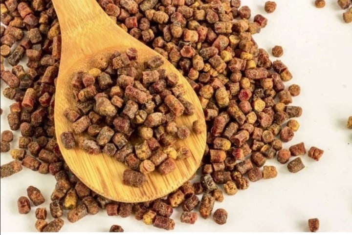 Как выглядит перга пчелиная фото Как выглядит перга пчелиная фото