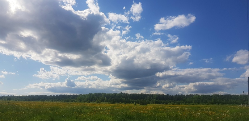 Светлана Еремеева | Санкт-Петербург