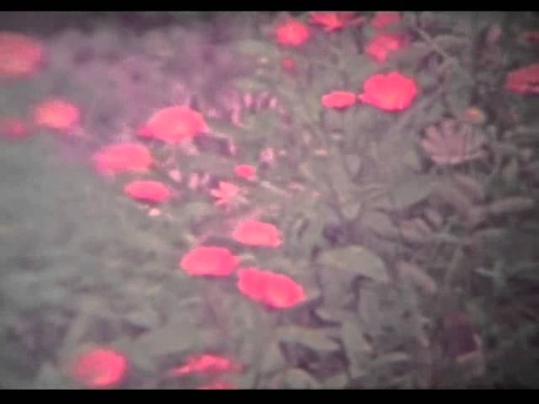 Хроники Скопина 1960 1990. АЗМР 80