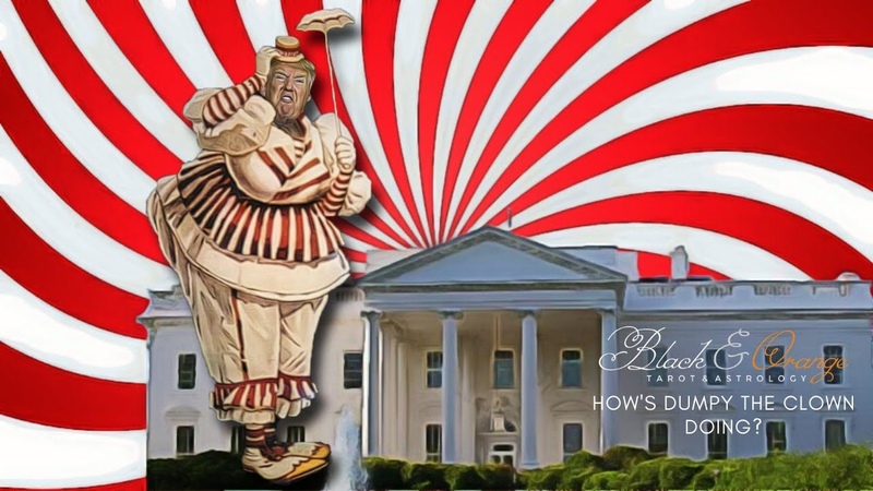 343. How is Trumpy Dumpy the Clown Doing Plus Fall Colors Pumpkin Kitty in the