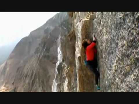 Freesolo