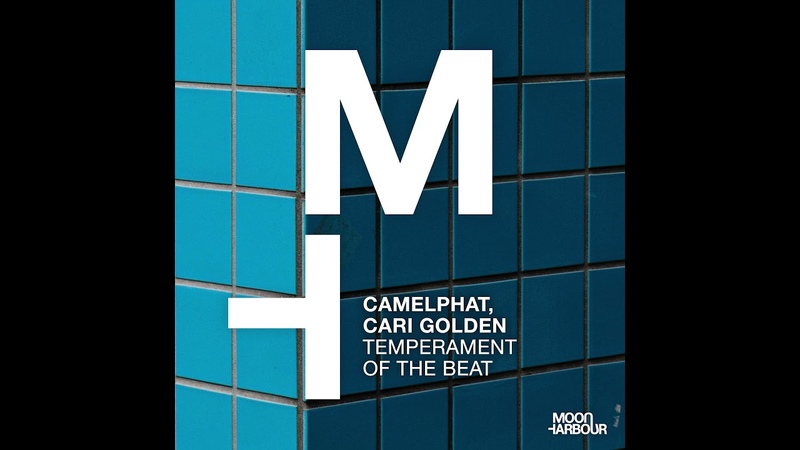 Camel Phat, Cari Golden Temperament Of The