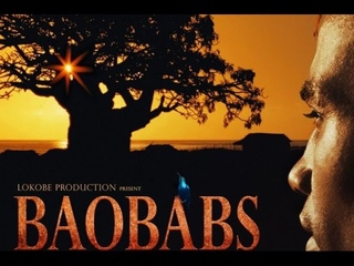 Баобабы: между землей и морем / Baobabs: between Land and Sea (трейлер)