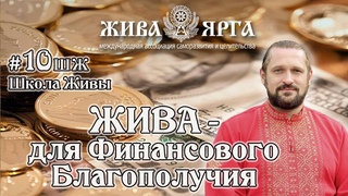 ЖИВА - для Финансового Благополучия. Школа Живы.#10 Владимир Куровский