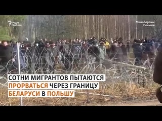 Кусачки и лопаты: беспорядки на белорусско-польской границе
