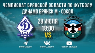 Динамо-Брянск-М (Брянск) - Сокол (Сельцо)