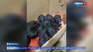 Следком начал проверку по факту гибели человека при пожаре