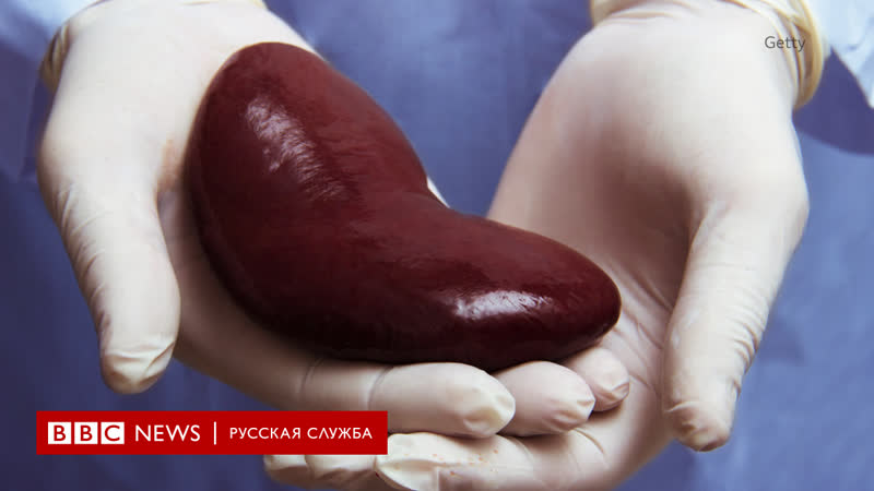 Нелегальная торговля органами, расследование,