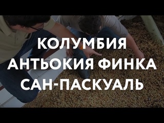 Серия №2. Обзор Колумбия Антьокия Финка Сан-Паскуаль в рекомендованных способах приготовления