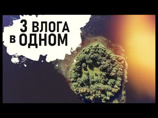 24 ЧАСА КОПАЕМ пеньковое царство, мешок лисичек и остров с полянкой. Остров 2022 - Senya Miro