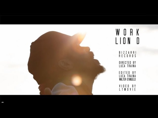 Lion D Work Official Video 2013, Bizzarri