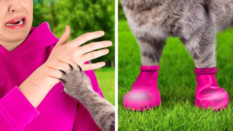 SMART HACKS GADGETS FOR COOL PET
