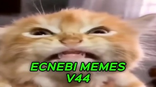 ECNEBI MEMES V44